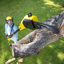 Best Lawn Maintenance Plans  in West Carrollton, OH