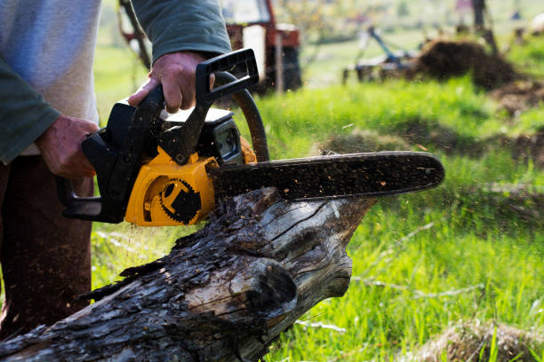  West Carrollton, OH Tree Care Pros